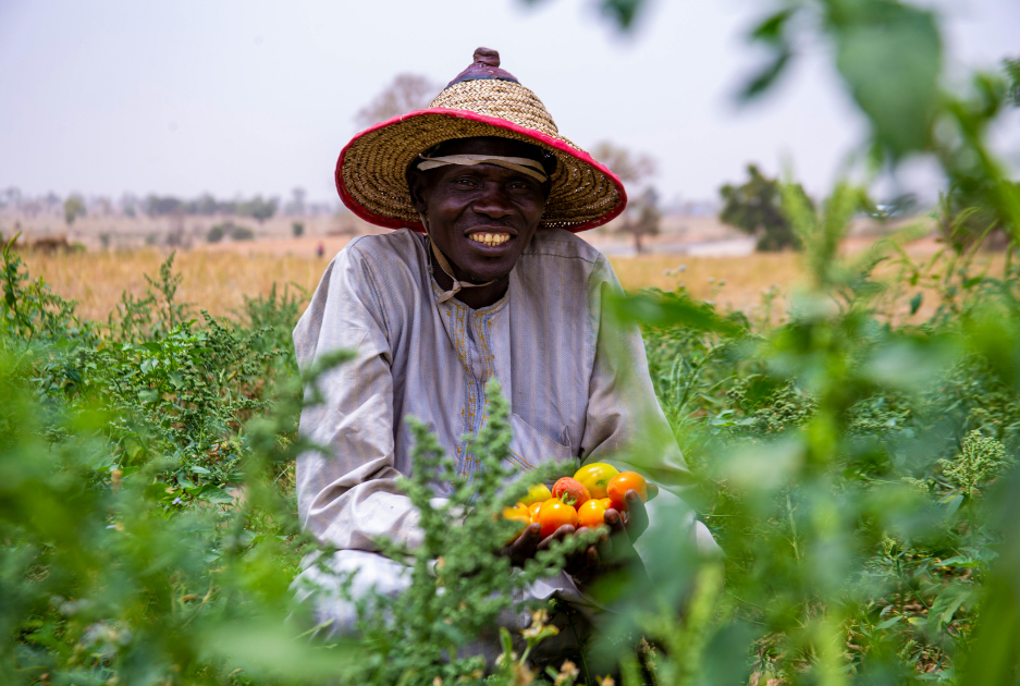 Farmer in the field